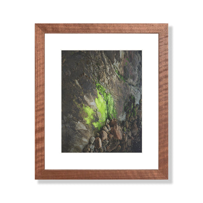 Pacific Coast Texture - Two