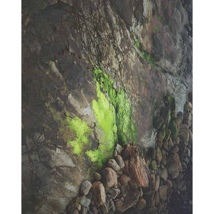 Pacific Coast Texture - Two