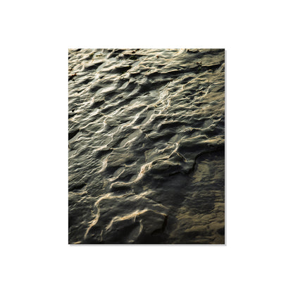 Pacific Coast Texture - Three