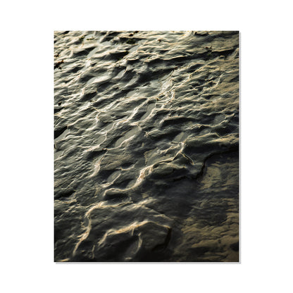 Pacific Coast Texture - Three