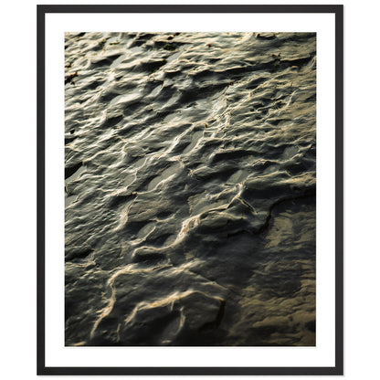 Pacific Coast Texture - Three