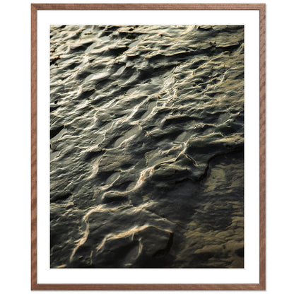 Pacific Coast Texture - Three