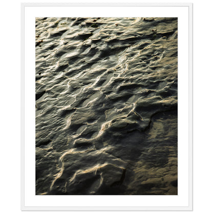 Pacific Coast Texture - Three