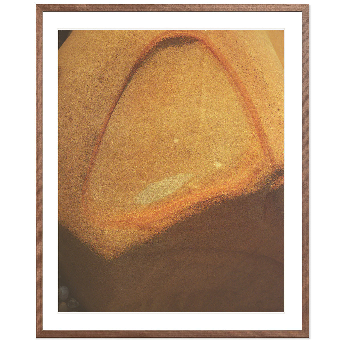 Pacific Coast Texture - Four