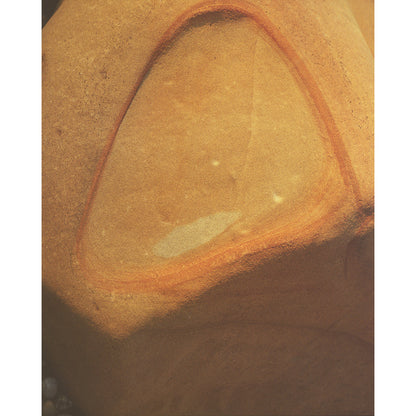 Pacific Coast Texture - Four