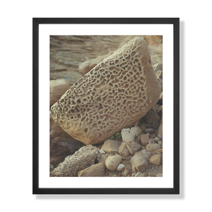 Pacific Coast Texture - Six