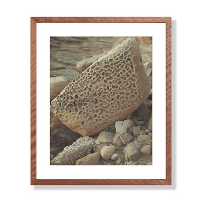 Pacific Coast Texture - Six