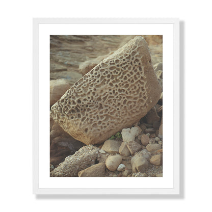 Pacific Coast Texture - Six