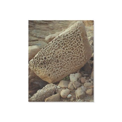 Pacific Coast Texture - Six