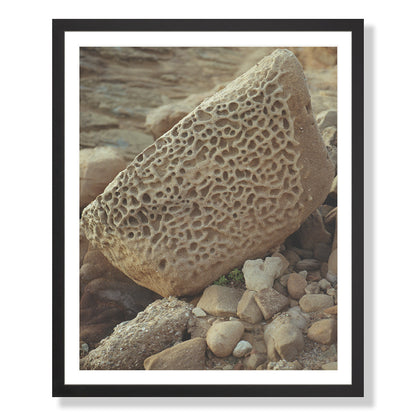 Pacific Coast Texture - Six