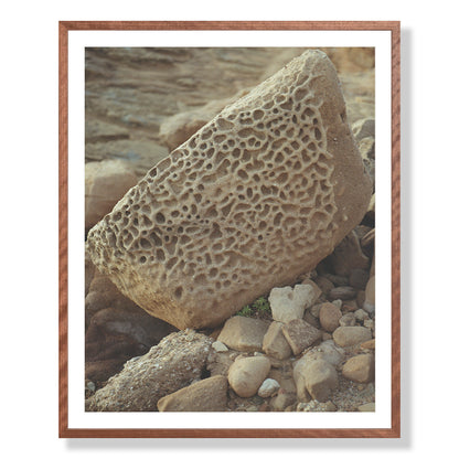 Pacific Coast Texture - Six