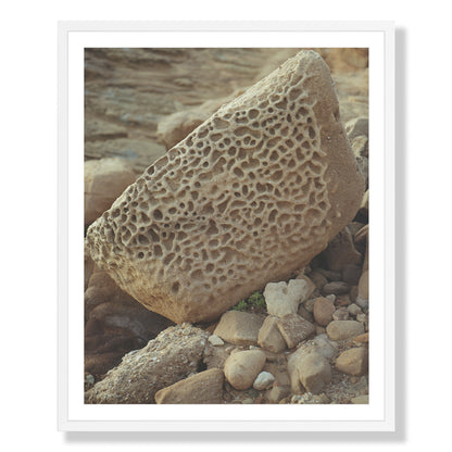 Pacific Coast Texture - Six