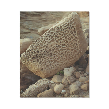 Pacific Coast Texture - Six