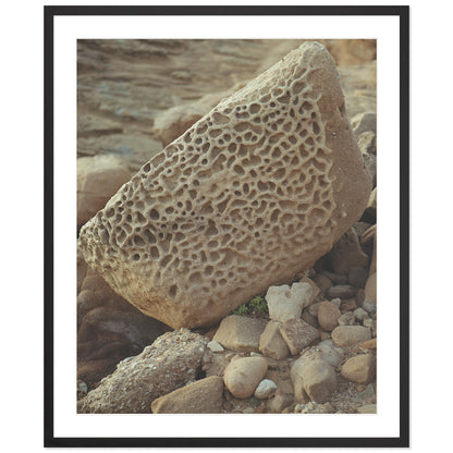 Pacific Coast Texture - Six