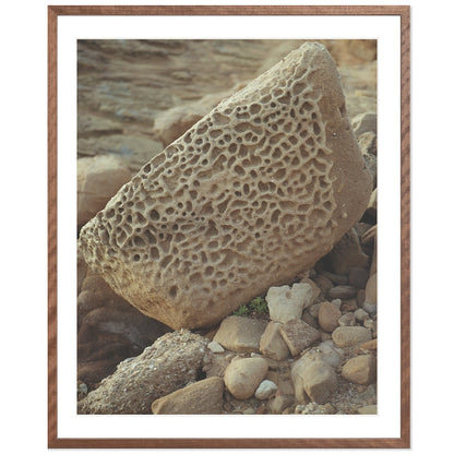 Pacific Coast Texture - Six