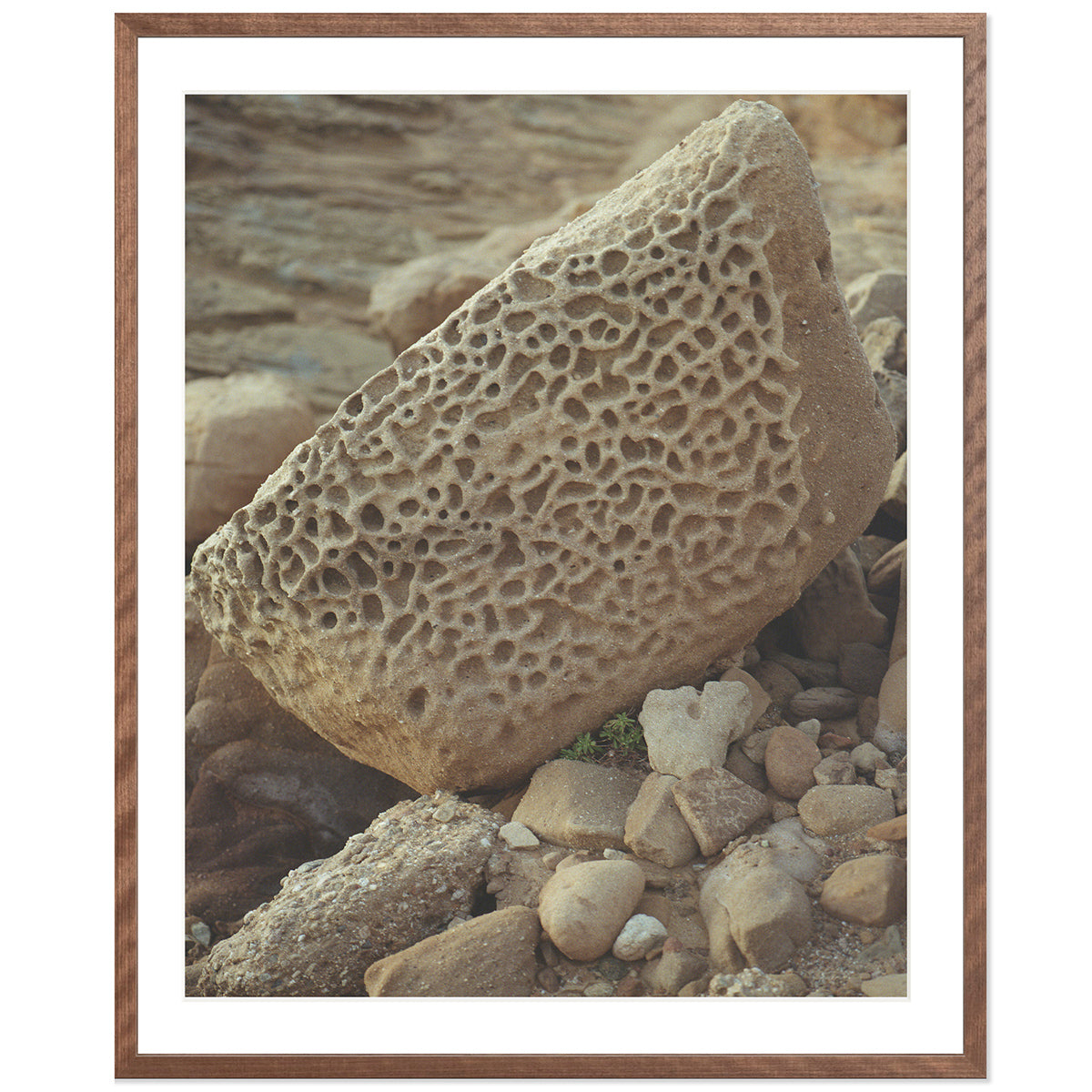 Pacific Coast Texture - Six