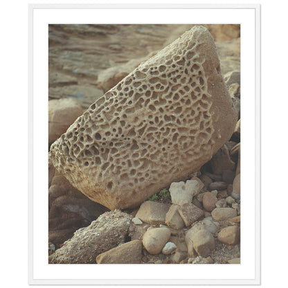 Pacific Coast Texture - Six