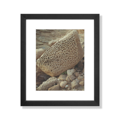 Pacific Coast Texture - Six