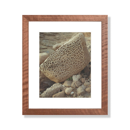 Pacific Coast Texture - Six