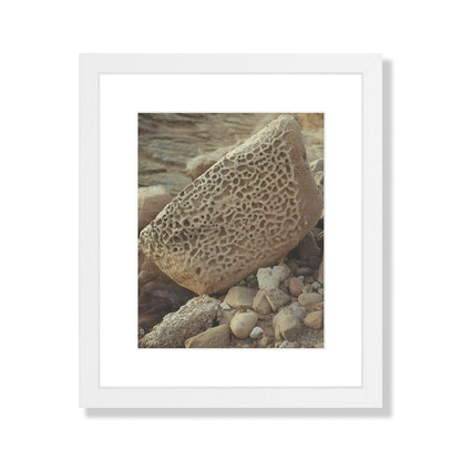 Pacific Coast Texture - Six