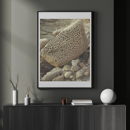 Pacific Coast Texture - Six