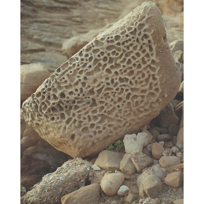 Pacific Coast Texture - Six