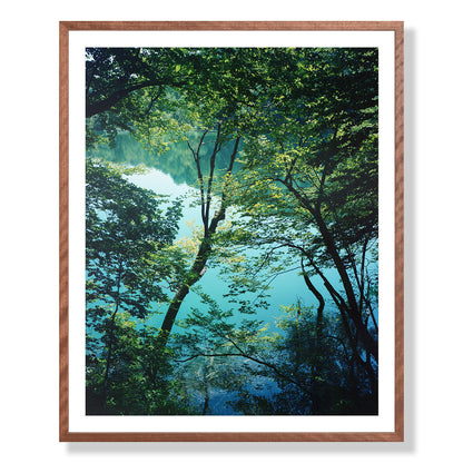 Plitvice Lakes One - Croatia