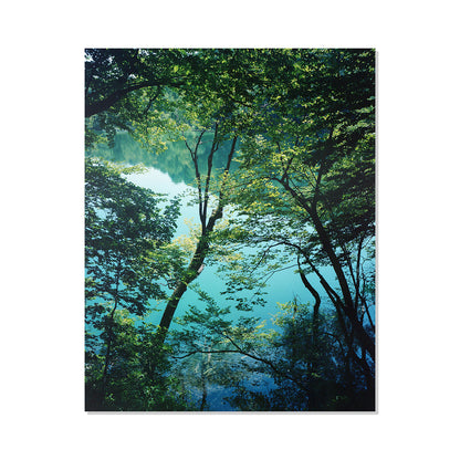Plitvice Lakes One - Croatia