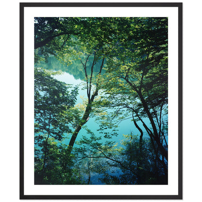 Plitvice Lakes One - Croatia