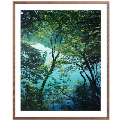 Plitvice Lakes One - Croatia