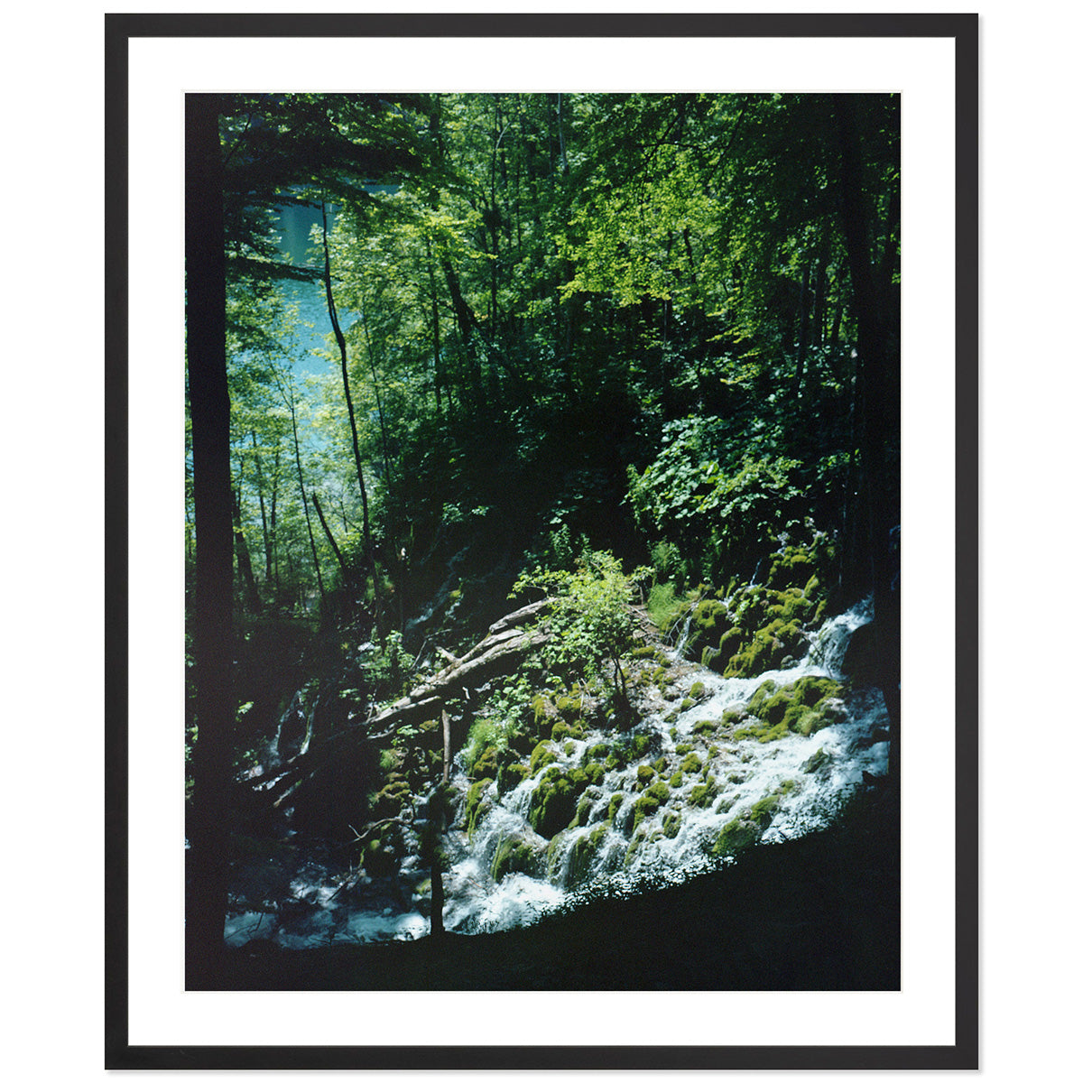 Plitvice Lakes Three - Croatia